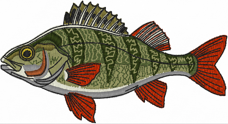 Embroidery Digitizing in Toronto: The Complete 2026 Buyer Guide